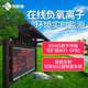 Air environment negative oxygen ion monitoring station scenic area negative ion real-time monitoring park meteorological environment monitoring system