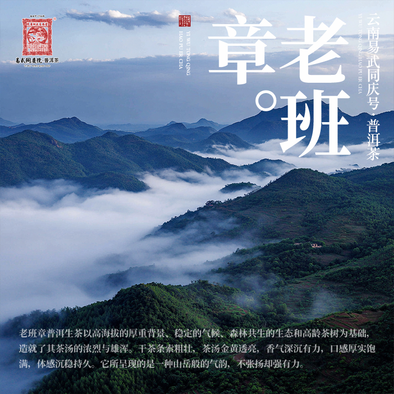 【二姨专属】2025老班章千禧制式瑞贡天朝1736藏料2000RC1生357g - 图2