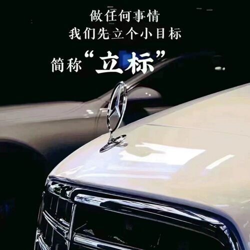 适用奔驰车标立标引擎盖E/C/S级E300L S350 C200L C180 260L标志 - 图0