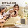 Dianyin family karaoke conspicuous package speaker home Bluetooth ktv audio microphone one portable outdoor dual microphone