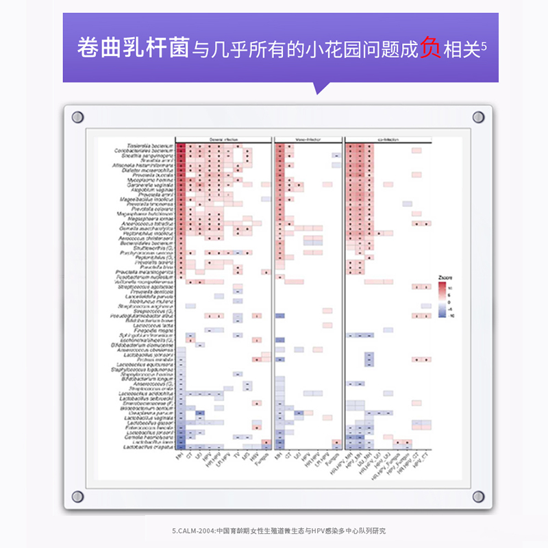 【联合抑菌舒痒平衡菌群】维斯制药德采思私处洗液口服益生菌外塞