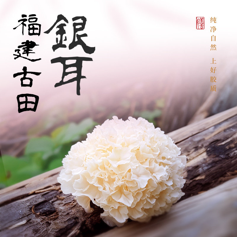 西麦~燕窝银耳燕麦片海盐咸味燕麦片礼盒