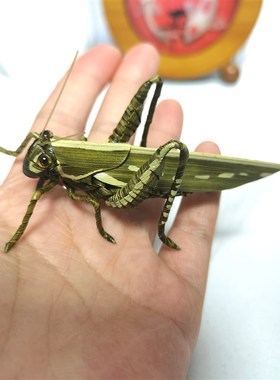 中国非遗文化草编棕编昆虫家居小摆件仿真蝗P虫纯手工工艺品摆件