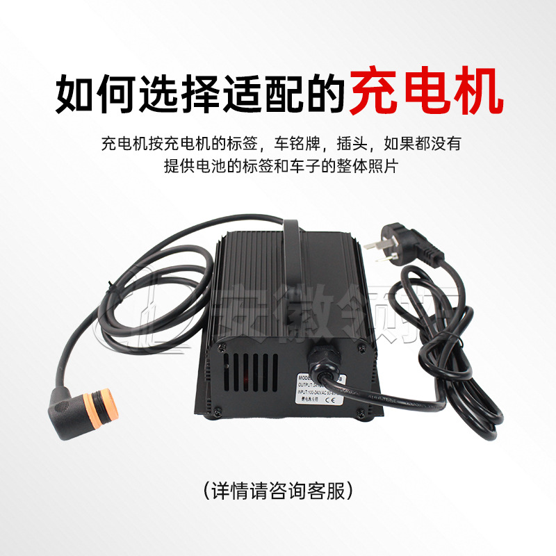 叉车配件合力加力外置锂电充电机100-240V SWCH 24V/10A型号齐全 - 图0