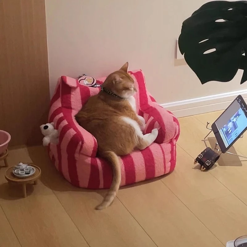 猫沙发四季通用保暖中小型犬狗窝狗狗猫窝可拆洗猫床垫子宠物用品,淘宝优惠券,粉丝福利购,淘宝优惠卷