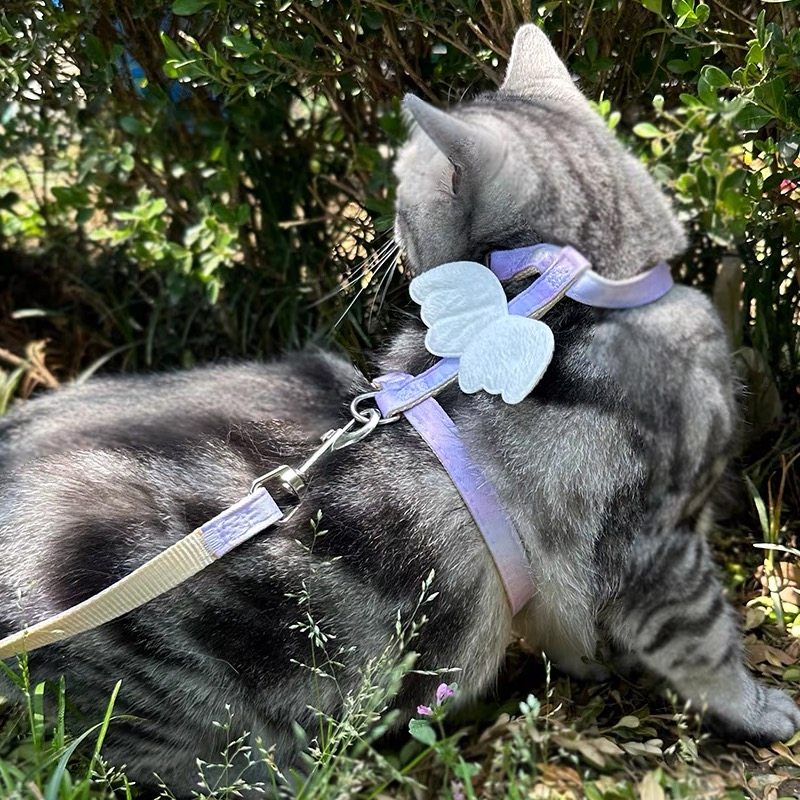 猫咪牵引绳翅膀工字可调节遛猫绳子可爱翅膀幼猫胸背带宠物用品,淘宝优惠券,粉丝福利购,淘宝优惠卷