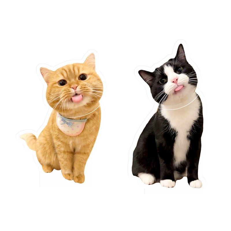 定制自动摇头猫咪摆件宠物狗狗小猫照片头像定做桌面压克力摇摇乐,淘宝优惠券,粉丝福利购,淘宝优惠卷