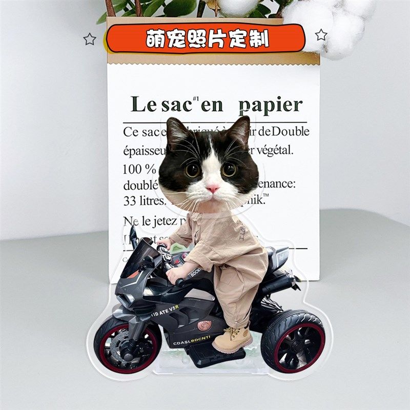 定制自动摇头猫咪摆件宠物狗狗小猫照片头像定做桌面压克力摇摇乐,淘宝优惠券,粉丝福利购,淘宝优惠卷