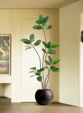 仿真绿植橡皮树仿生假植物摆件大型室内客厅落地装U饰树奶油风盆