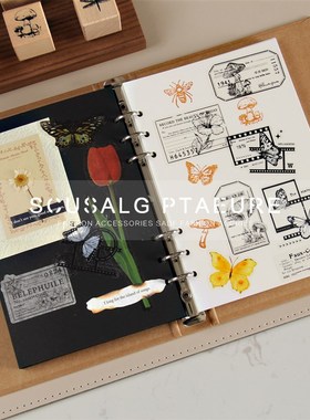 样板房书房书桌软装摆件花艺z儿童房昆虫植物干花标本主题装饰品