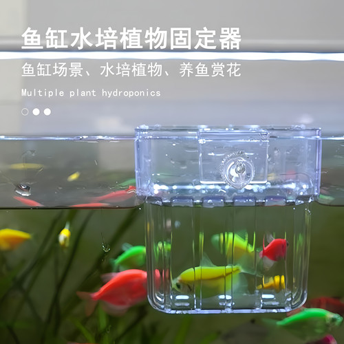 鱼缸水培架定植篮壁挂式水草杯绿萝植物固定器支架造景装饰配件 - 图1