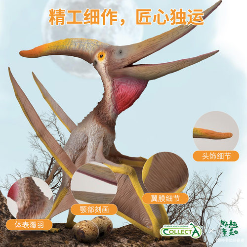 【顺丰包邮】英国CollectA实心仿真动物模型玩具霸王三角翼恐龙 - 图3