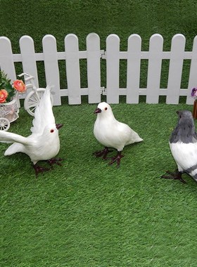 仿真鸽子摆件假鸽子玩偶婚庆装饰动物鸽子模型鸟类和Y平鸽标本道