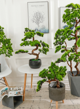 大型中式仿真f迎客松盆景摆件客厅落地假绿植装饰摆设室内植物景