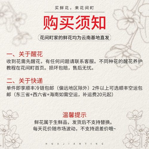 【顺丰冷链包邮】云南昆明新鲜洋桔梗鲜花基地直发a级鲜切插花 - 图1