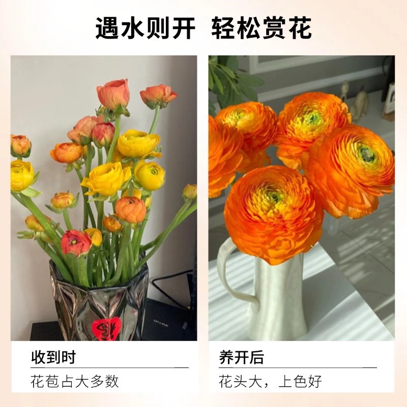 云南鲜花基地玫瑰洋牡丹顺丰包邮年宵花鲜花速递同城花束插花水养,淘宝优惠券,粉丝福利购,淘宝优惠卷