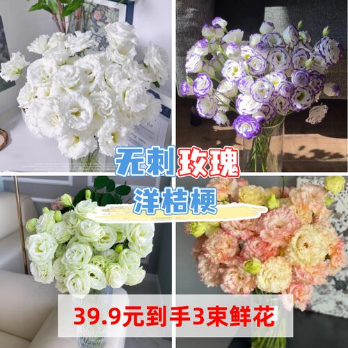 39.9元任选3件 鲜花云南直发玫瑰鲜花卉插花家用鲜切花风铃花绣球 - 图0