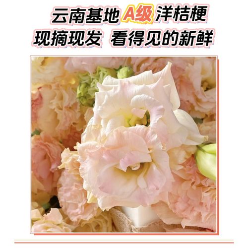 【顺丰冷链包邮】云南昆明新鲜洋桔梗鲜花基地直发a级鲜切插花 - 图0