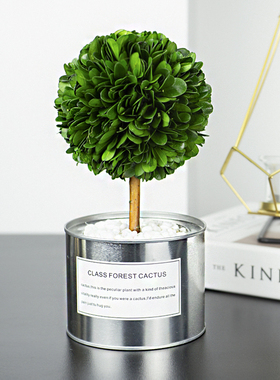 绿色星球 创意植物摆件家居饰品客厅电视酒柜玄S关装饰品轻奢高