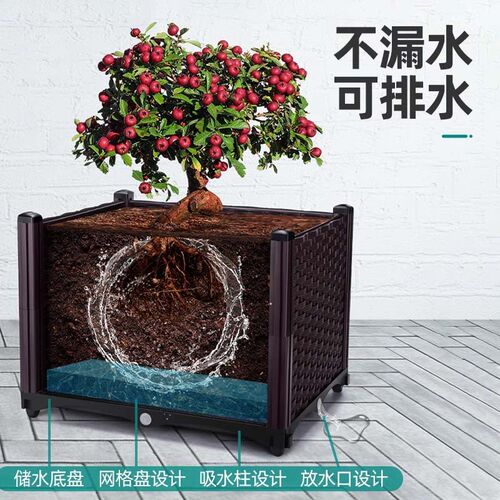 家庭阳台种植箱种菜神器蔬菜专用长方形塑料花盆楼顶花箱户外庭院 - 图2