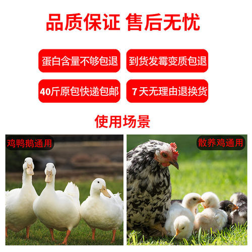 正大524L土鸡饲料产蛋料中大鸡鸭鹅大颗粒下蛋家养小鸡通用40斤 - 图0