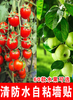 新品蔬菜水果海报贴画店铺墙壁装饰墙纸自粘海报定制大幅墙画贴纸