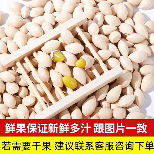 2025年新鲜大颗带壳白果银杏果无漂白泰兴特级包邮干货生百果
