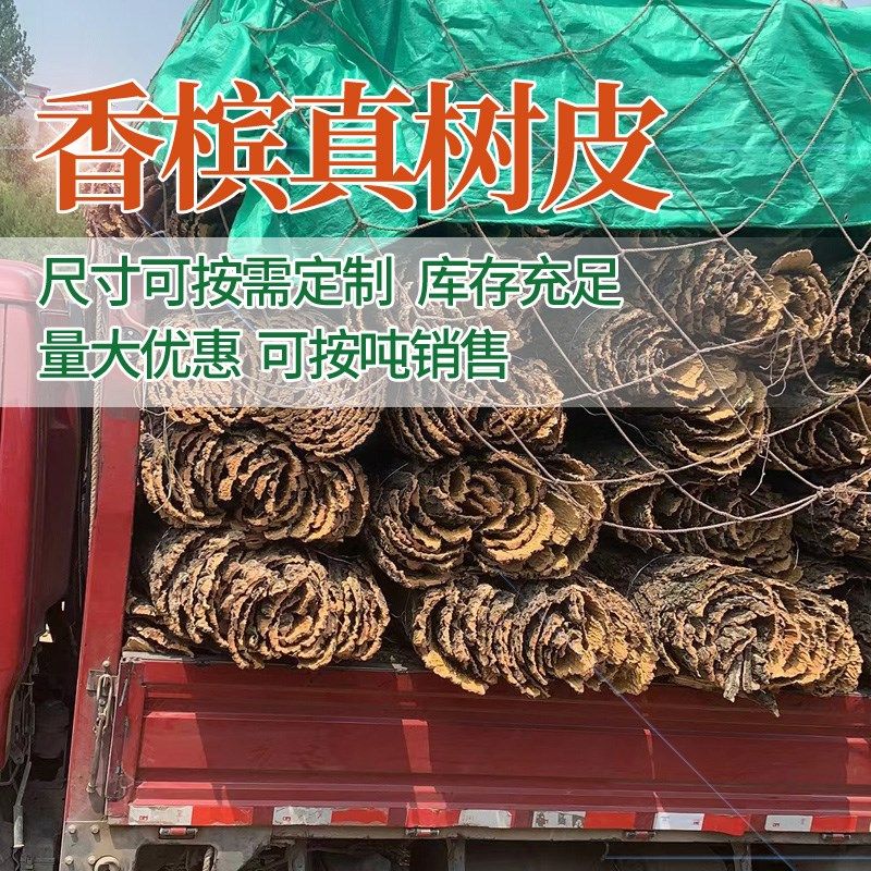 香槟树皮鱼缸背景板天然真树皮造景装饰绿植墙爬宠躲避箱软木树皮,淘宝优惠券,粉丝福利购,淘宝优惠卷