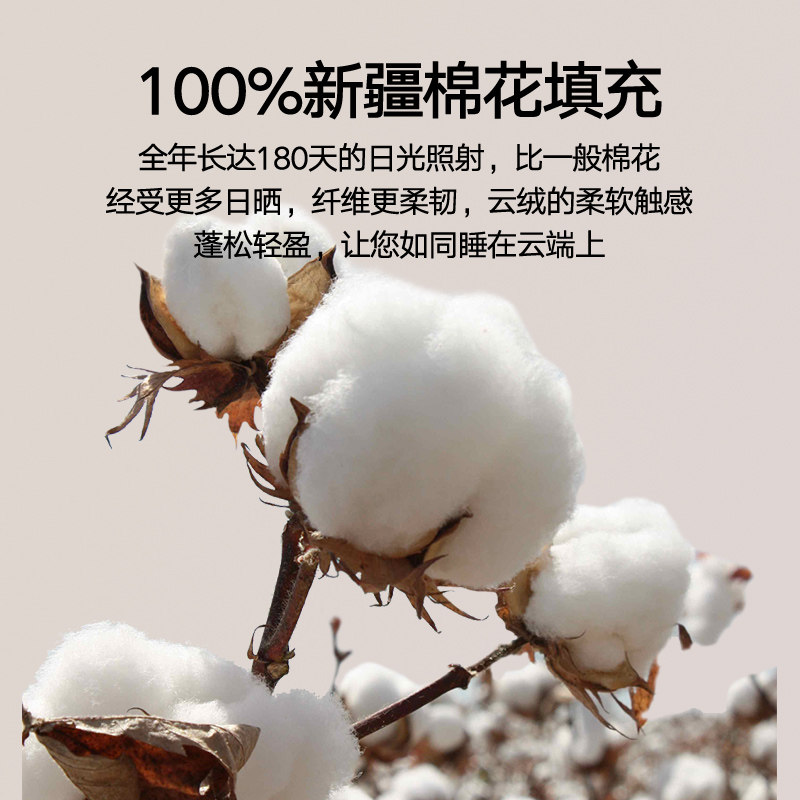 冬被新疆纯棉花被子被芯秋冬天棉被棉絮冬季加厚保暖单人春秋被褥,淘宝优惠券,粉丝福利购,淘宝优惠卷