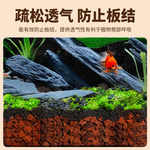 免洗火山石鱼缸专用造景底砂石头乌龟缸养鱼水草泥天然底部砂石 - 图2