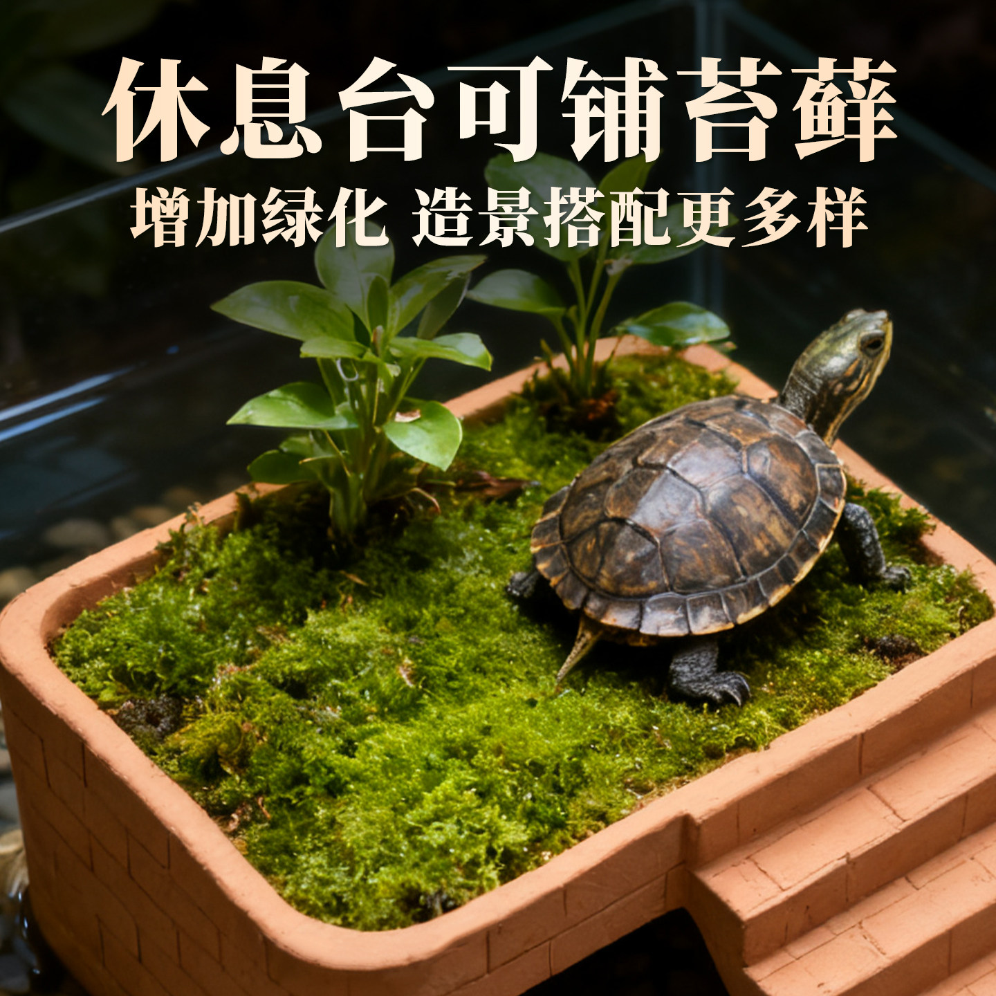 乌龟晒台爬台陶土躲避洞巴西草龟专用带爬梯深水龟缸休息台躲避屋,淘宝优惠券,粉丝福利购,淘宝优惠卷