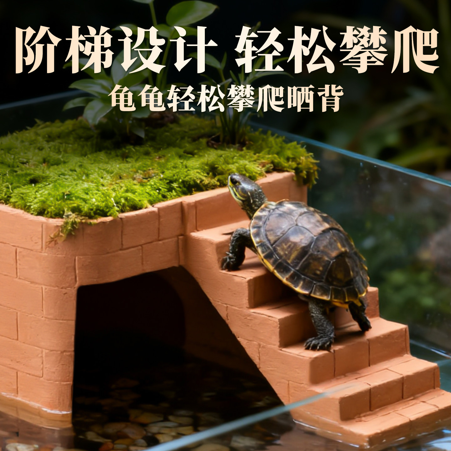 乌龟晒台爬台陶土躲避洞巴西草龟专用带爬梯深水龟缸休息台躲避屋,淘宝优惠券,粉丝福利购,淘宝优惠卷