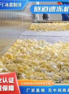 隧道式速冻机块状/状底料连续冷冻设备麻辣/菌汤/牛油底料