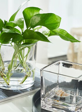 北欧简约水培透明玻璃花瓶方形花盆正绿萝水植物器皿摆件插花方缸