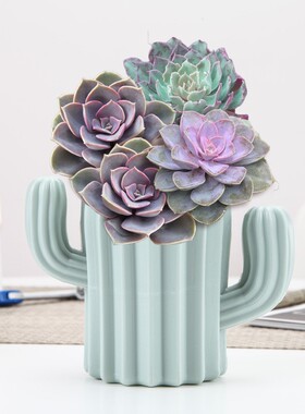 极速Plastic Cactus Vase Home Decor Floor European Anti-ceram