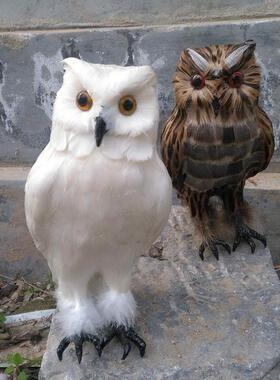 仿真7698猫型头鹰模羽毛工品艺件阳花园0吓摆台鸟驱鸟落地秃老鹰