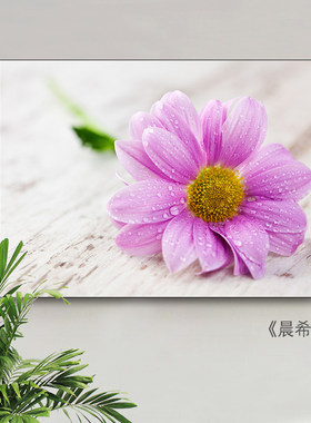 好货总开关轨道电表箱子装饰电源遮挡画玄关带钟表推拉门简易装饰