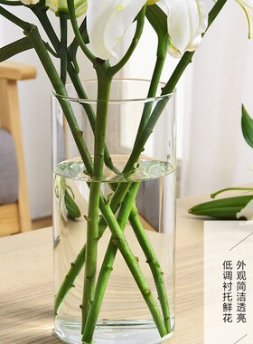 好货透明玻璃花瓶简约客厅摆件 家用水培鲜花富贵竹百合花瓶