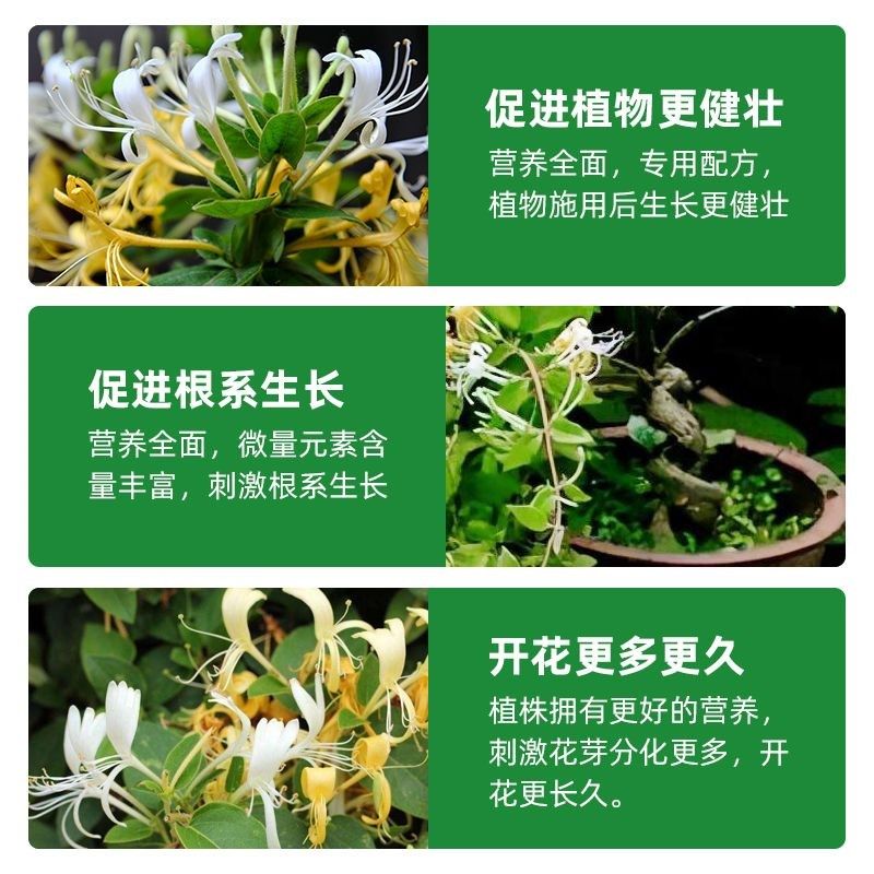 金银花专用营养液治黄叶促生根家庭绿植专用园艺肥料,淘宝优惠券,粉丝福利购,淘宝优惠卷