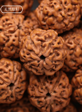 守护金刚菩提手串原籽木质手链