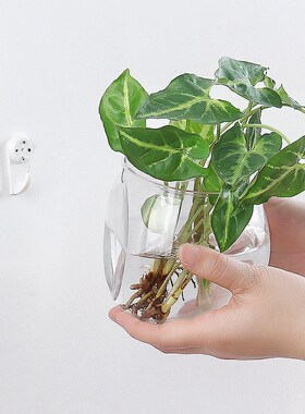 好货居家内装饰盆栽简约器皿客厅可悬挂花盆透明鱼缸水养植物花瓶