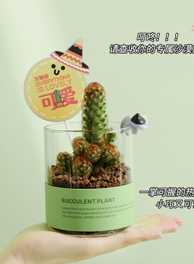 治愈系办公室好物电脑书桌面装饰小摆件家居饰品生日解压礼物女生