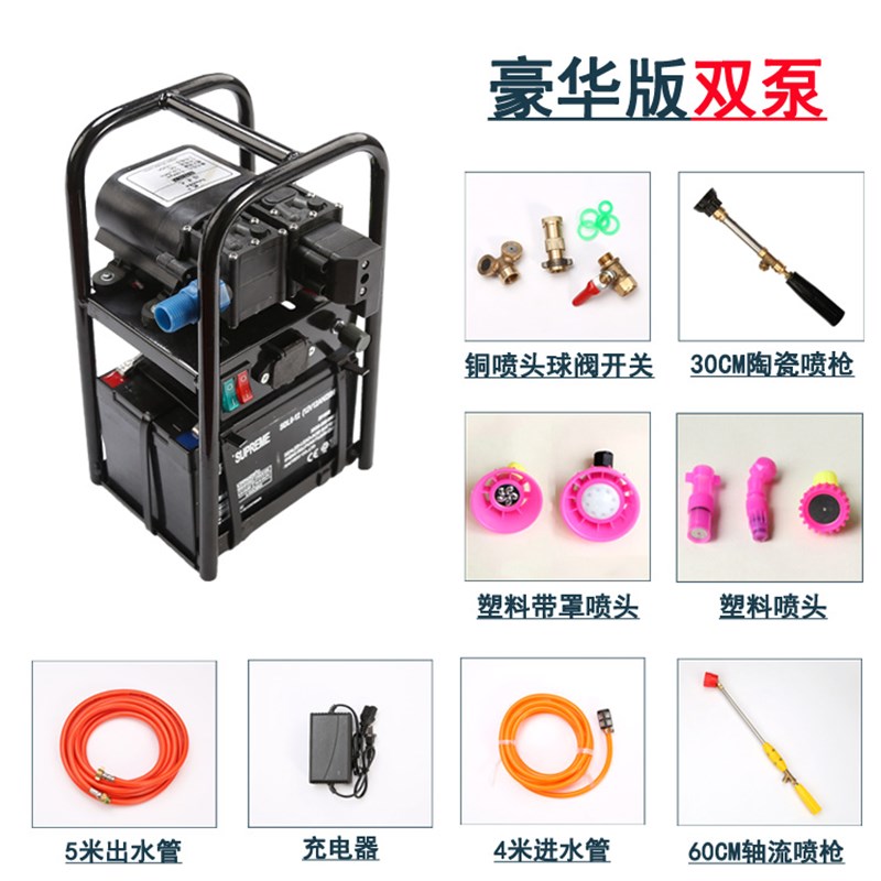 手提式双核泵12V大电瓶园艺雾化高压管三缸隔膜泵小型电动喷雾器 - 图1