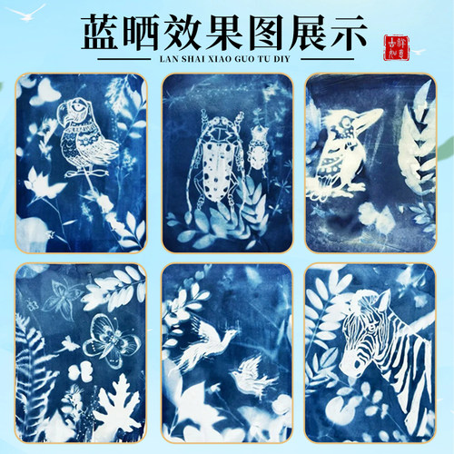 母亲节蓝晒液diy套装材料包ab液感光工具书签纸扇帆布袋拓印颜料 - 图0