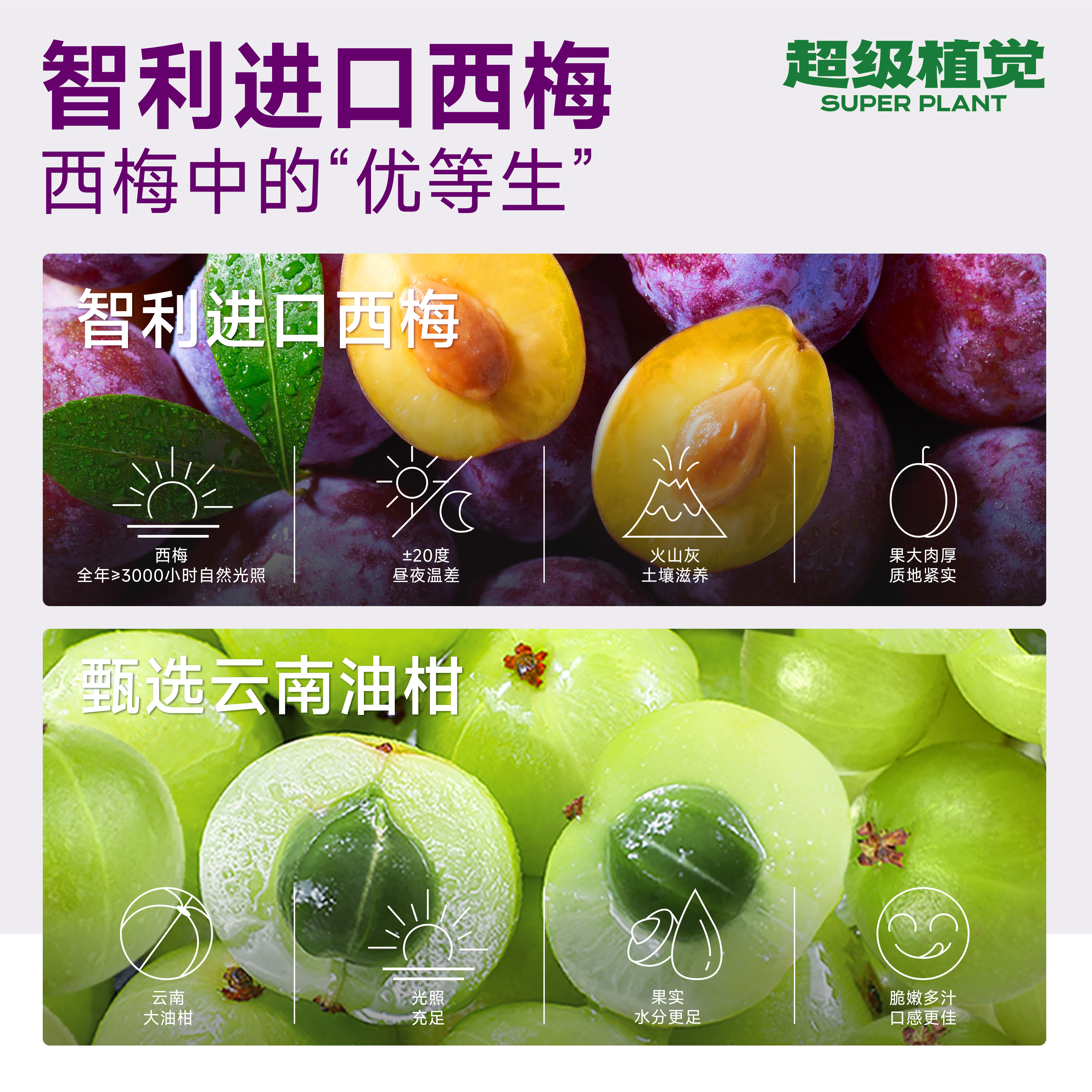 【8袋】超级植觉益生元西梅油柑纤维饮0脂果蔬汁饮料袋装100ml