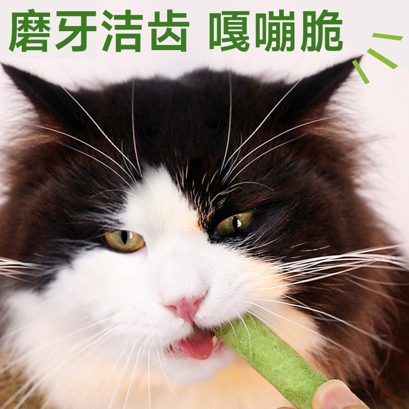 冻干猫草棒50g磨牙棒猫咪零食化毛球即食猫草粒化毛膏专用猫草片,淘宝优惠券,粉丝福利购,淘宝优惠卷