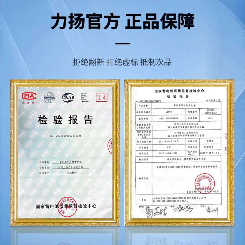 贝纳利752S 302S 502C金鹏502X幼狮500黄龙600 300飓风302电瓶 - 图3