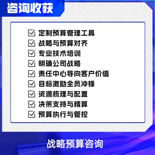战略预算咨询 - 图1