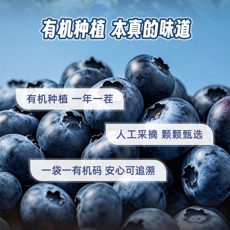 【单袋】元初食品有机蓝莓果汁110g 花青素饮料蓝莓汁NFC100%鲜榨,淘宝优惠券,粉丝福利购,淘宝优惠卷