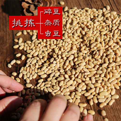 非转基因黄豆农家自种豆腐新肾形黄豆5斤发豆芽食用打豆浆 土黄豆 - 图3